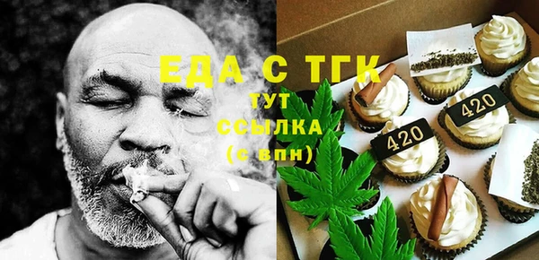 хмурый Алзамай