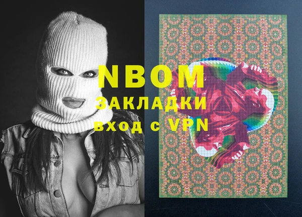 хмурый Алзамай
